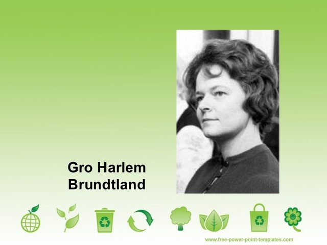 “informe  Brundtlan”