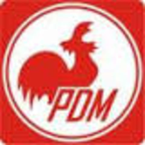 Representante Jurídico Nacional PDM
