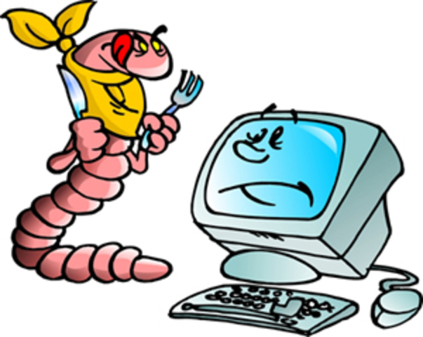 EXPANSION DE LAS PC´S