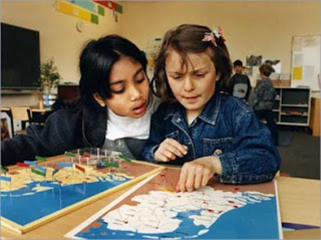 CONCEPCIONES DE LA DISCAPACIDAD INTELECTUAL