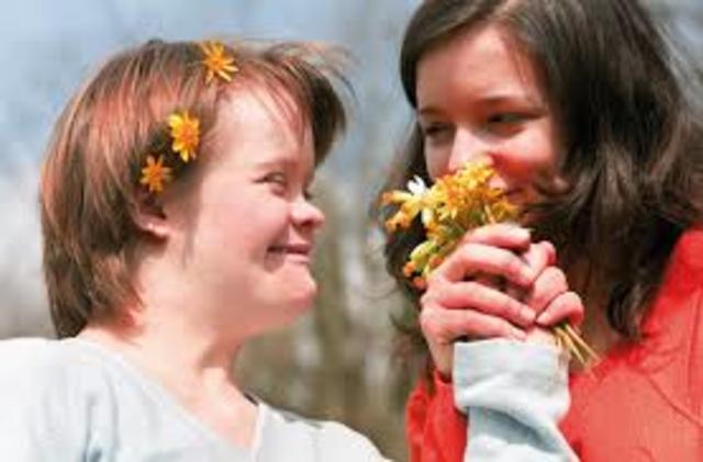 CONCEPTO DE DISCAPACIDAD INTELECTUAL