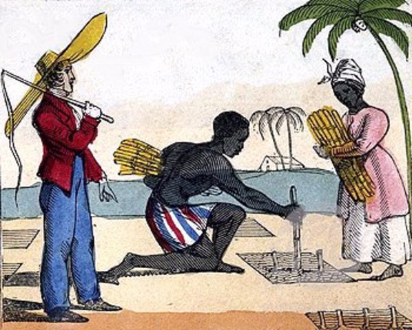 Se usa el azúcar en alimentos.