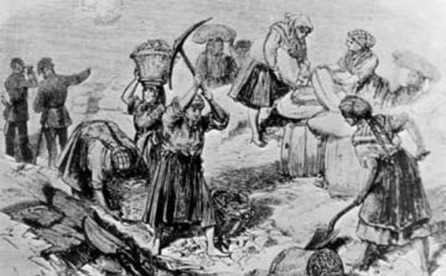 Surge el Imperialismo XIX