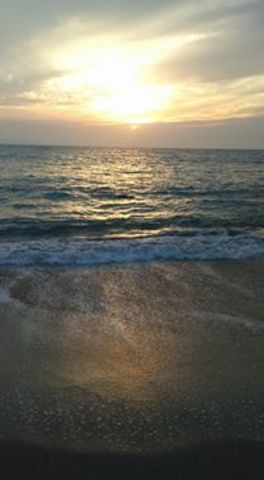 Viaje a Puerto Vallarta