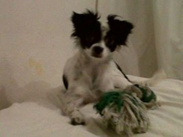 Llega Maicol a mi vida