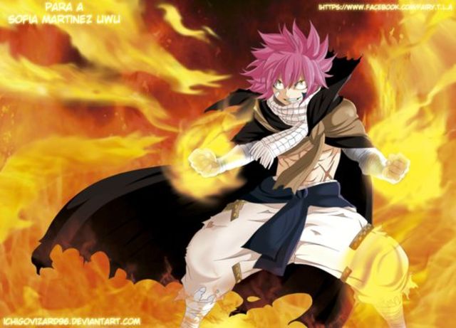 fairy tail 2014