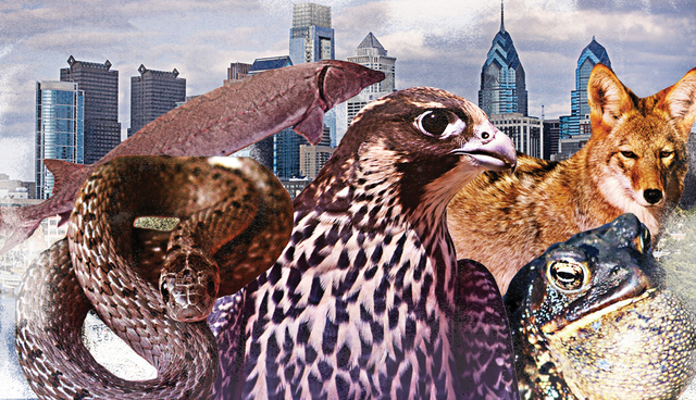 Animals in philadelphia