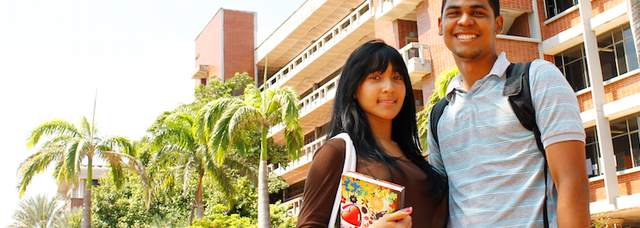 Universidad Abierta de Brasil