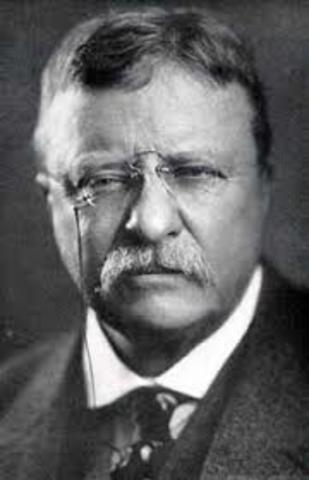 Theodore Roosevelt becomes President