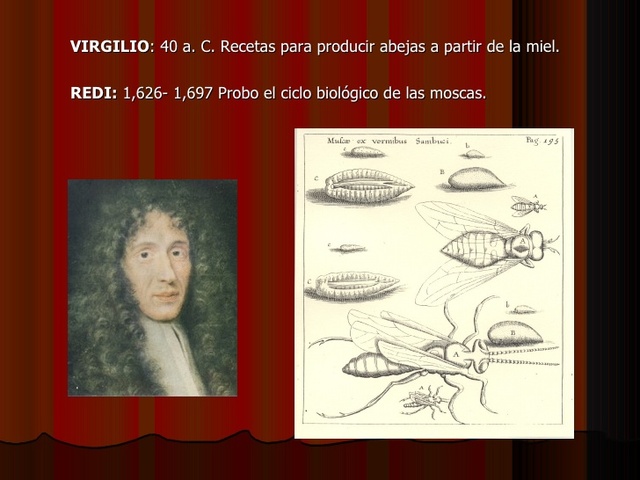 VIRGILIO: siglo II ac