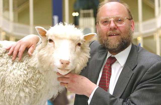 Primer animal clonado