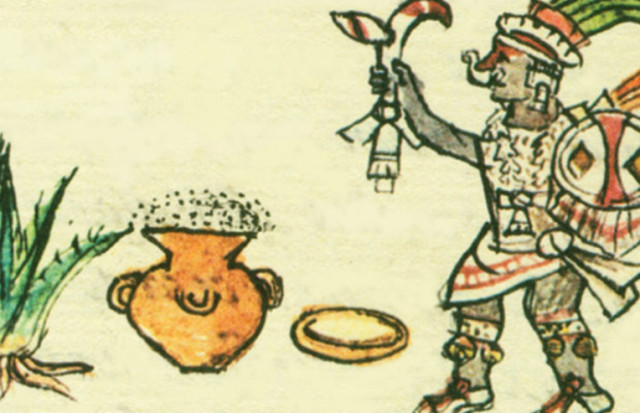 Fermentación: primera evidencia del vino y la cerveza.