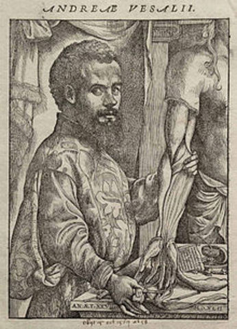 Andrés Vesalio: Realizó estudios en cadáveres.