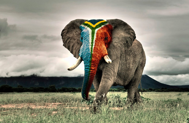 Universidade de Sudáfrica - África