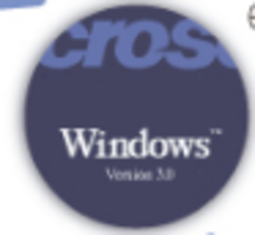 Windows 3.0