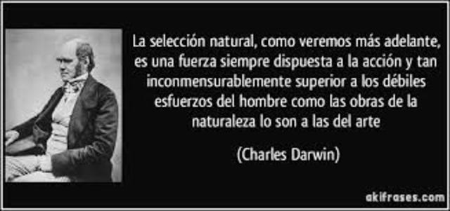 SELECCIÓN NATURAL  -  DARWIN