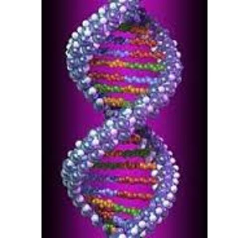 Descubrimiento de la nucleína