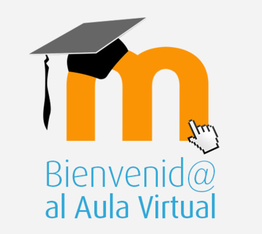 1er Curso aula virtual