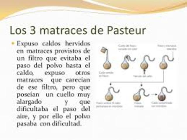 LUIS PASTEUR ( 1822-1895)