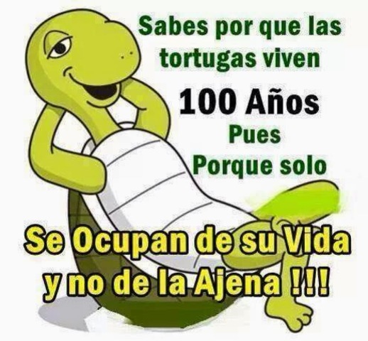 Operación del apendice