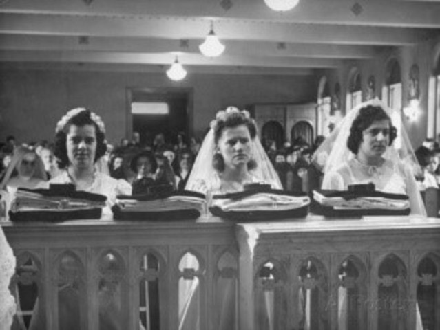 First Vows as Novice