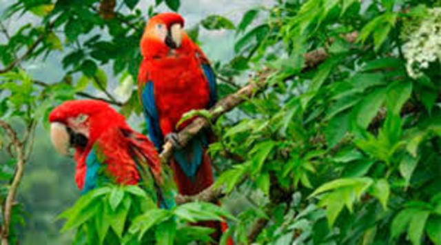 CÓDIGO NACIONAL DE LOS RECURSOS NATURALES RENOVABLES Y DE PROTECCIÓN AL MEDIO AMBIENTE