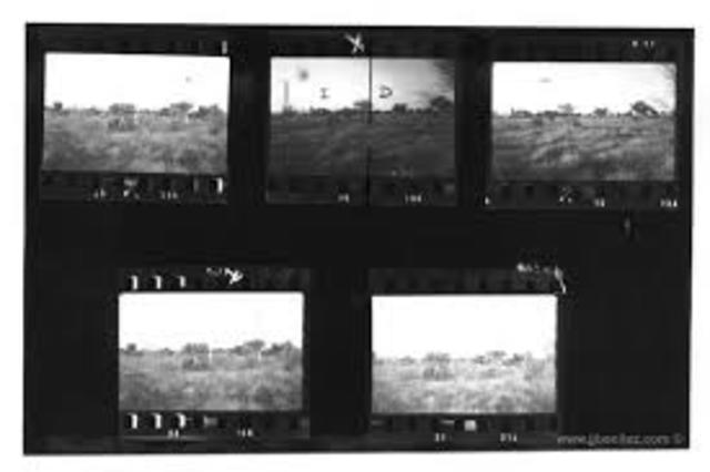 Criação do Processo Negativo-Positivo