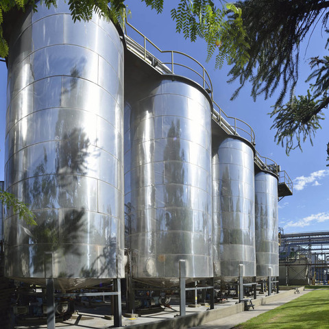 1973 - 1977 Proyección nacional