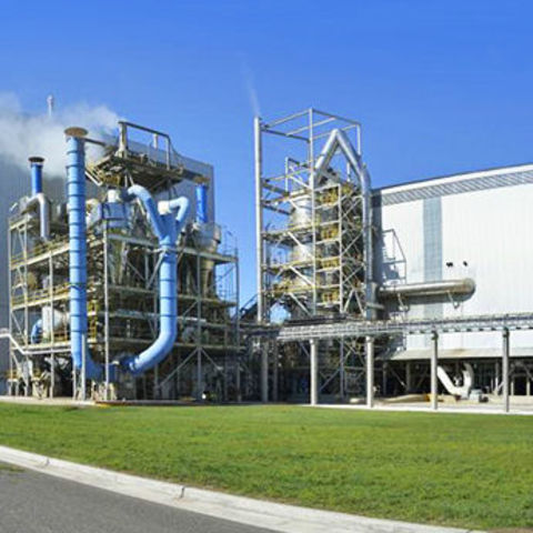 2011 - Planta Reflex