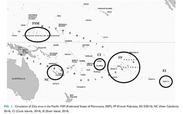 Grande surto 2010 a 2013