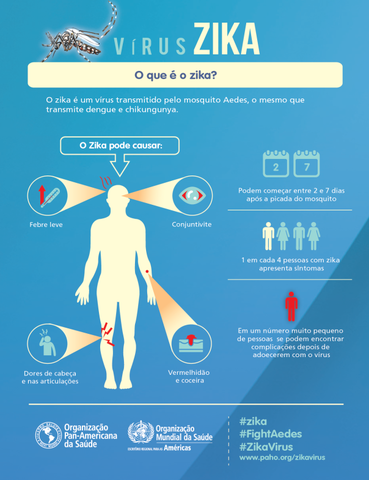 Vírus Zika chega no Brasil