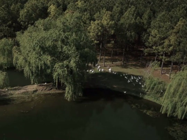 Calidad y medio ambiente