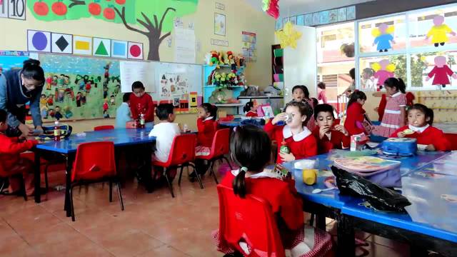 Estudios en Preescolar