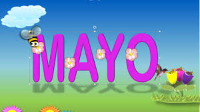 mayo