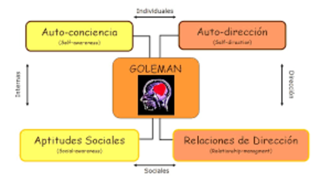 Goleman (1995).