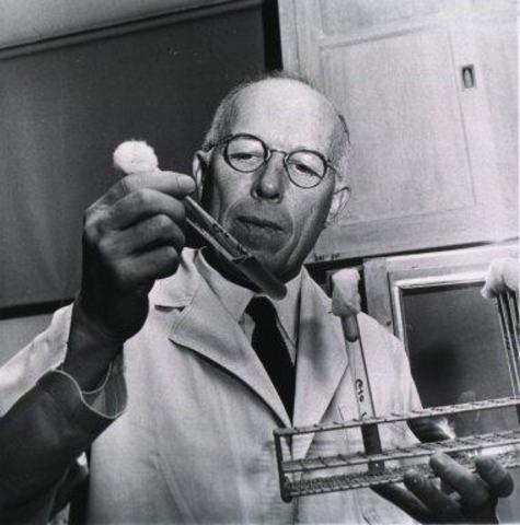 RENÉ JULES DUBOS (1901-1982)