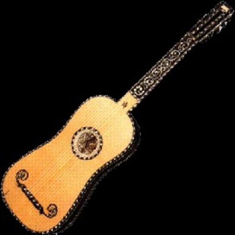 Guitarra de 5 ordenes