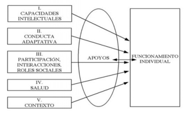 MODELO MULTIDIMENSIONAL DEL RETRASO MENTAL DE LA AAMR 2002