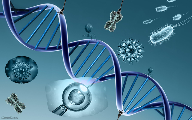 Inicio de la vida 3500 ac