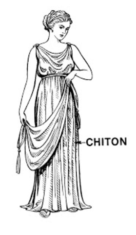 Chiton