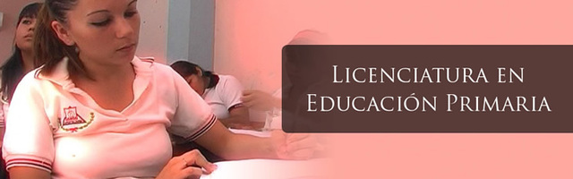 LICENCIATURA EN EDUCACIÓN PRIMARIA A DISTANCIA