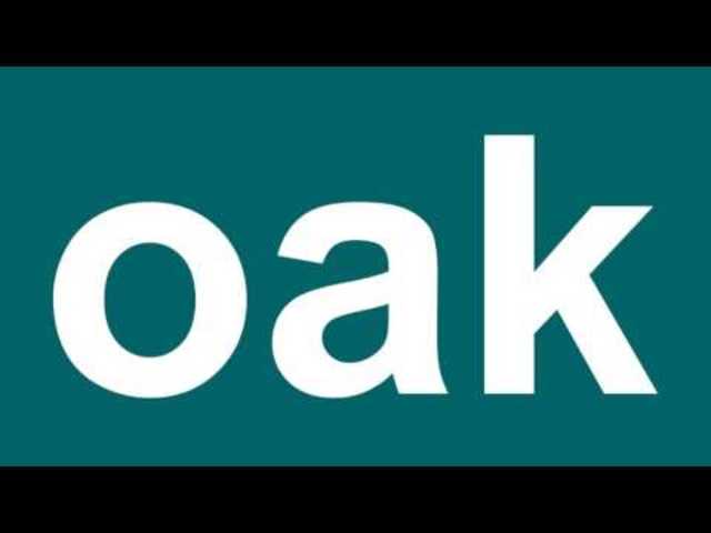 Nace el Proyecto Oak, que al tiempo se conoce como Java