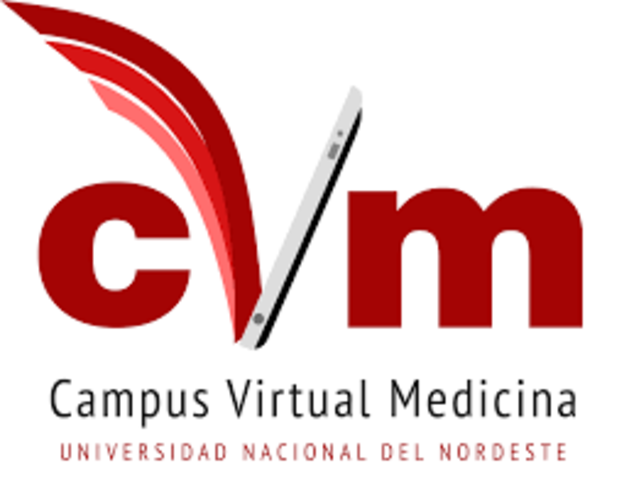 EL Campus virtual....!!!
