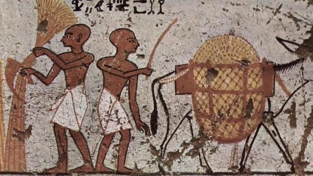 Documento Casero - Egipto