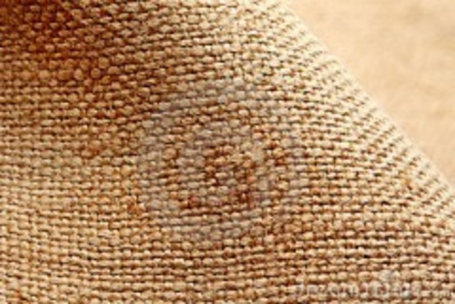 Evidencia de la primera tela de lino