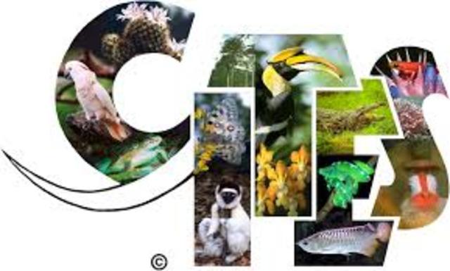 Convención sobre el Comercio Internacional de Especies Amenazadas de Fauna y Flora Silvestres (CITES)