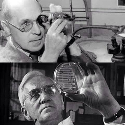 Hermann Muller, Sir Alex Fleming.