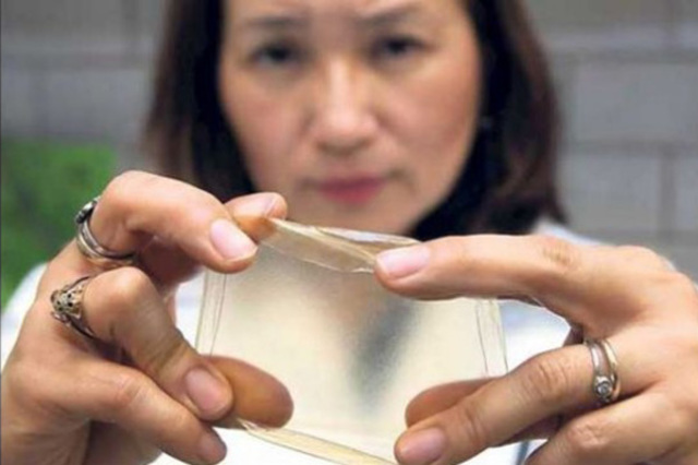 Bioproceso para obtener polímeros.