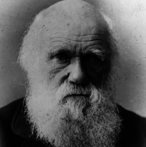 Darwin's Theory