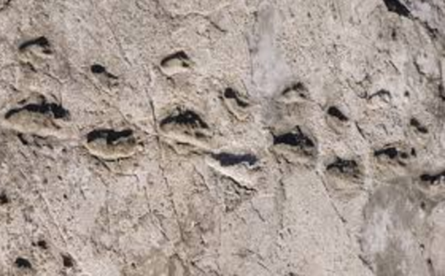 Important Footprints Discovered